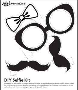 DIY Selfie kit image